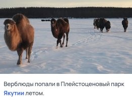 Из Якутии пришли. 
В Шотландии, всё же, теплее будет.