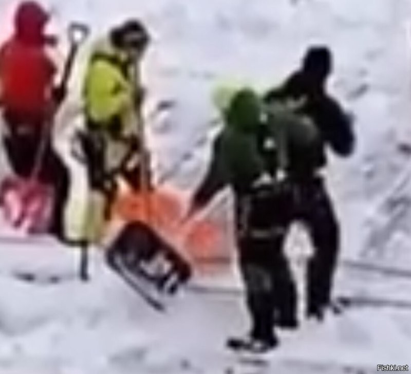 Собственно, на всех. 
Видно не очень, конечно, но видно. 

А зуммер, я в руках держал, ещё в 80-е годы прошлого века. 
Когда в электроконструктор "игрался".