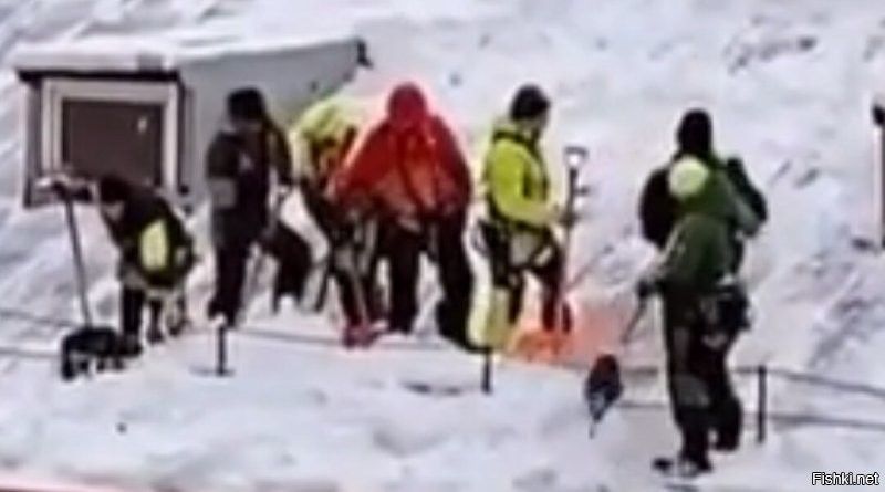 Собственно, на всех. 
Видно не очень, конечно, но видно. 

А зуммер, я в руках держал, ещё в 80-е годы прошлого века. 
Когда в электроконструктор "игрался".