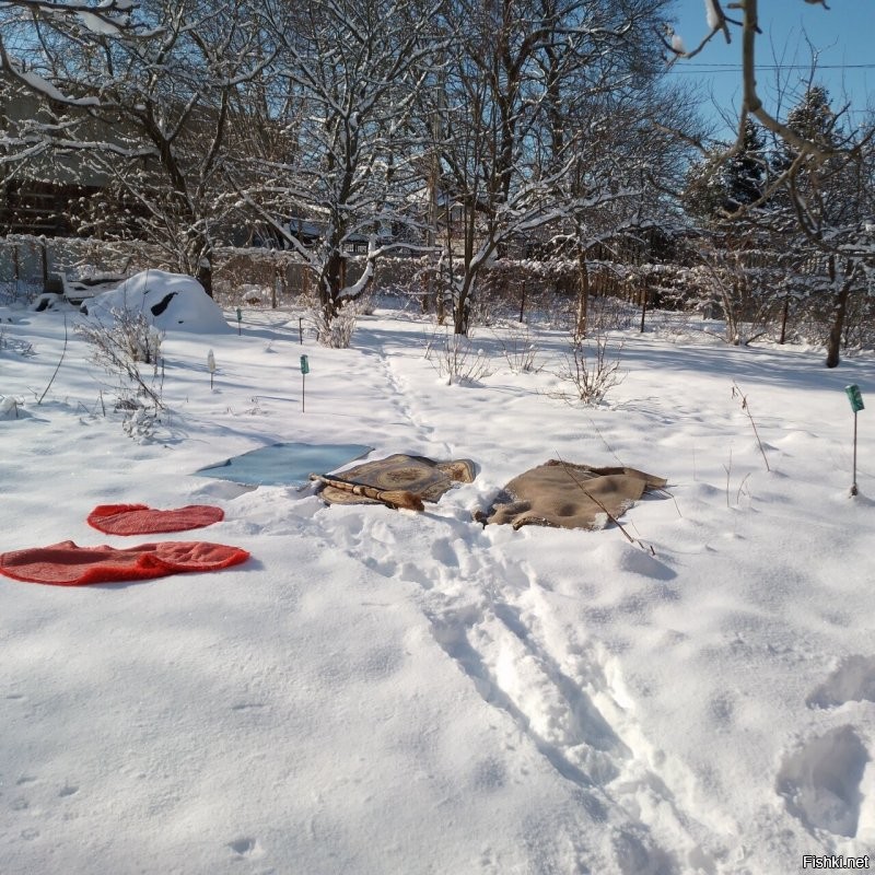 Мои собани в моём саду. Зимняя народная забава. Вид из моего окна. КАК ЭТО можно сравнивать и поменять на ужас, что показан на фото?!