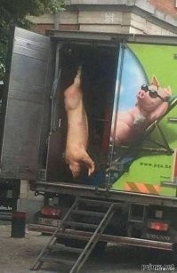 Заявление Сибиги — это своеобразное преломление украинского подхода, что нам можно всё, а если нам отвечают, то следует вопрос: а мене-то за шо?
