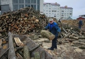 Все на заготовку дров!