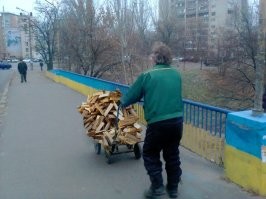 Все на заготовку дров!