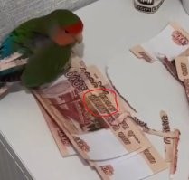 Если такие попробовать сдать в банк, отправят или в дурку, или в полицию