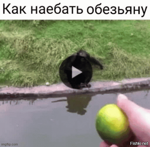 Большая тарелка улыбатора