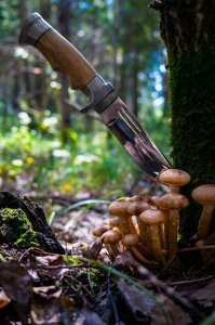 Мой улов, прошлого года.