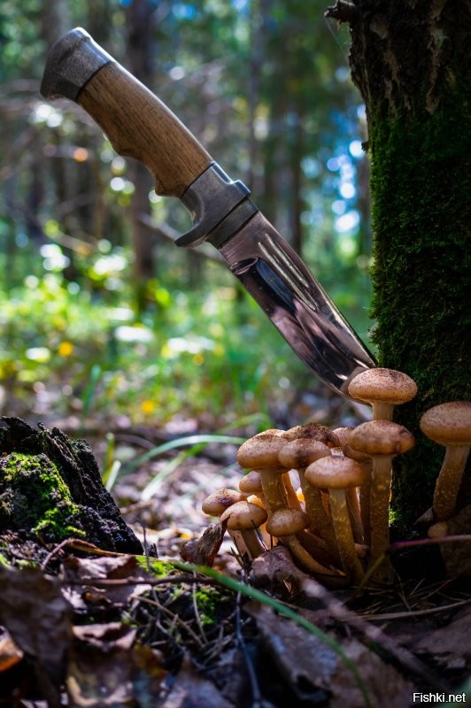 Мой улов, прошлого года.