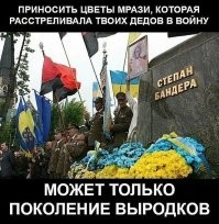 Света больше нет, Киев переходит на дрова: удары по Украине 17 января