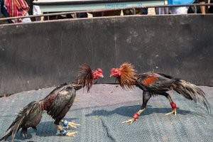 Принцип и участники одинаковы.