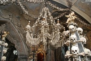 А мог бы из костей крутой интерьер забабахать. И водить туристов...