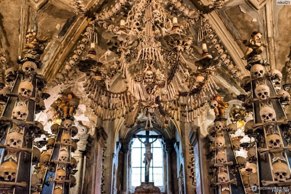 А мог бы из костей крутой интерьер забабахать. И водить туристов...