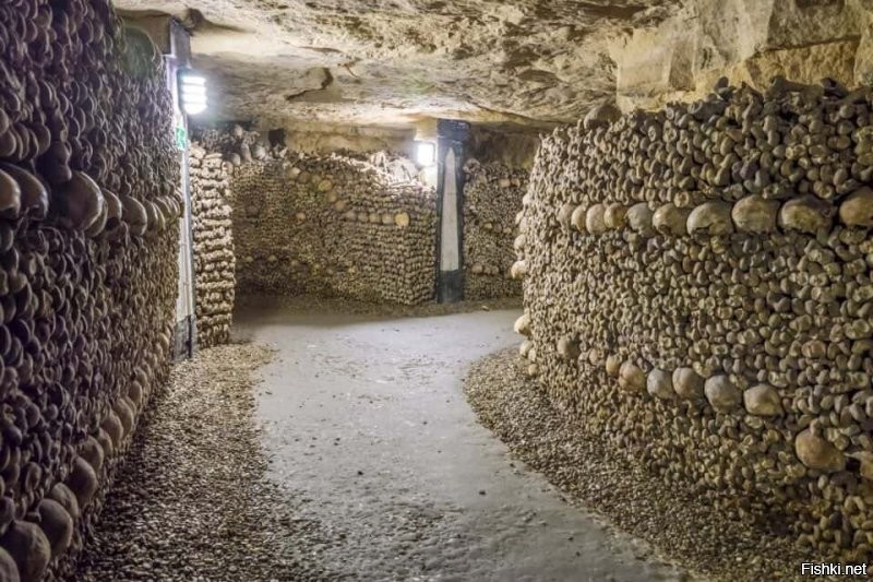 Катакомбы Парижа. В период с конца XVIII до середины XIX века сюда были свезены останки около 6 млн человек в рамках усилий по ликвидации переполненных городских кладбищ. Общая площадь подземного кладбища   11 000 м2. В наши дни катакомбы являются частью музея Карнавале и часть их территории открыта для посещения. Ежегодно катакомбы посещают более 500 тыс. человек[.