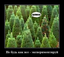 Деньги для женщин — это независимость и свобода выбора