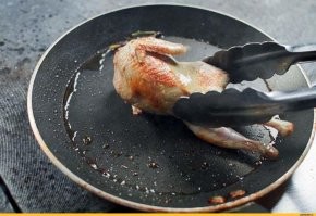 Гиперактивный попугай