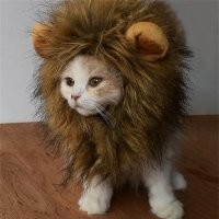 Забавная реклама с котятами в миниатюрном городе