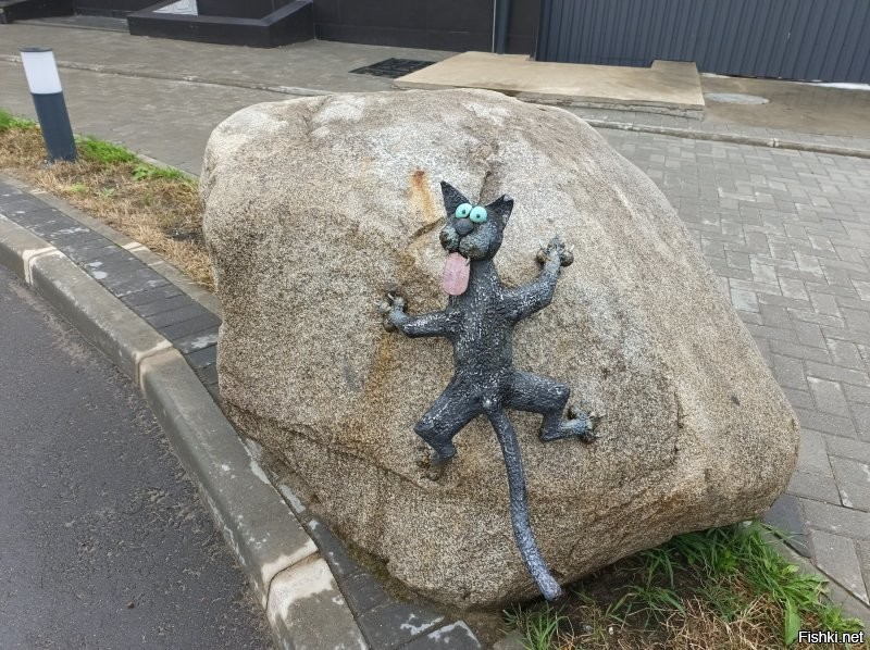 ФотоВсячина