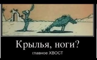 На сбежавшего эму надели наручники