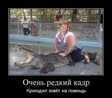 Смешные картинки