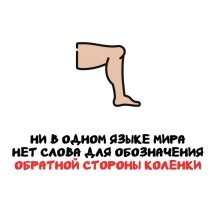 Была уже здесь эта ерунда. Навскидку предлагаю два языка: мёртвую латынь - fossa poplitea и  русский - подколенная ямка. Официальный термин конкретной части тела - обратной стороны колена.