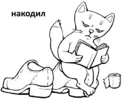 Помни о тапке