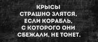 Как-то в тему первая картинка: крыса радуется, что корабль утонул