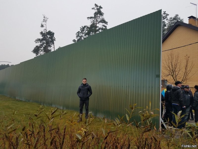 Толи в России