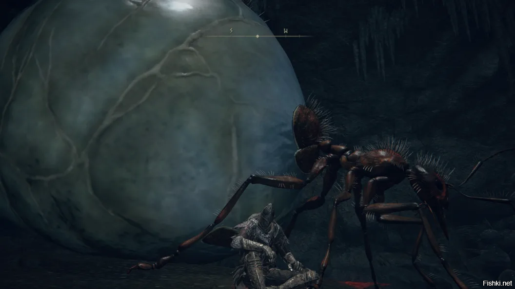 Чот напомнило в Элдене такие были )