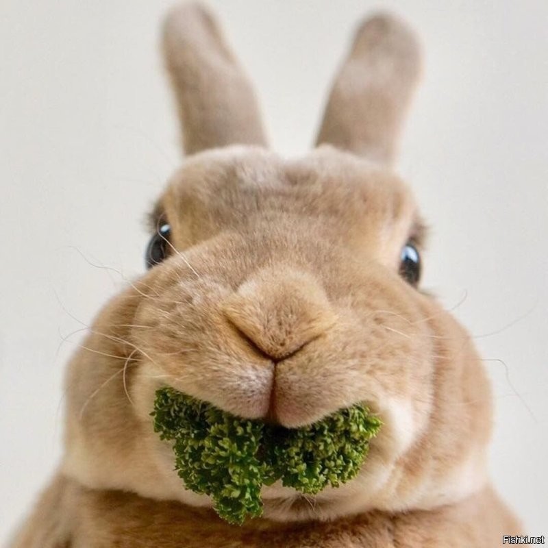 Таксист сделал замечание пассажирке, решившей порадовать своего парня