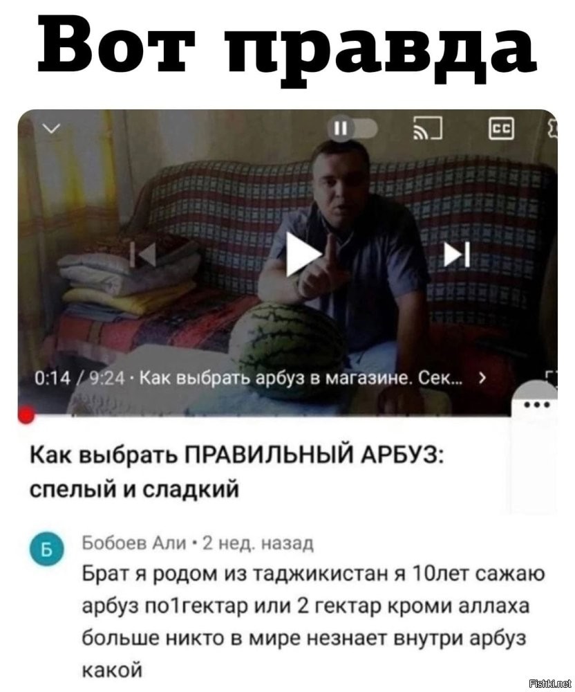 Солянка от 20.01.2026