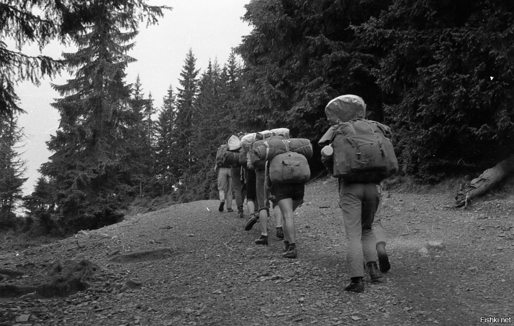 "Походы" - те самые, где молодость и задор горячее костра, где "дружба" - "крепче стали", где комары мельче, а деревья больше )))