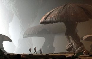 Мне тут предки по наследству даже фото передали