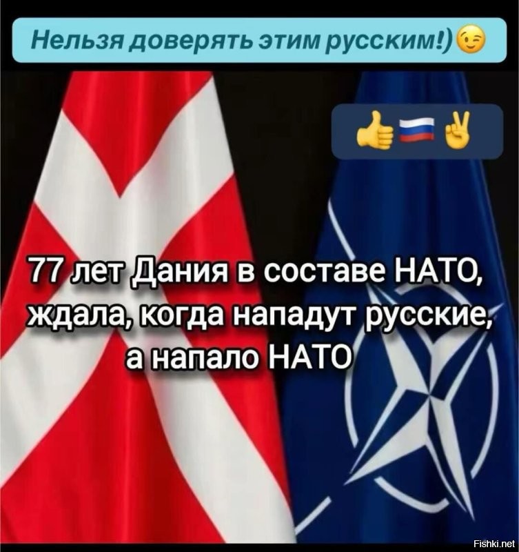 Тот случай, когда один депутат делает для защиты Гренландии больше чем вся Дания
