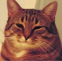 Друзьями с привилегиями?