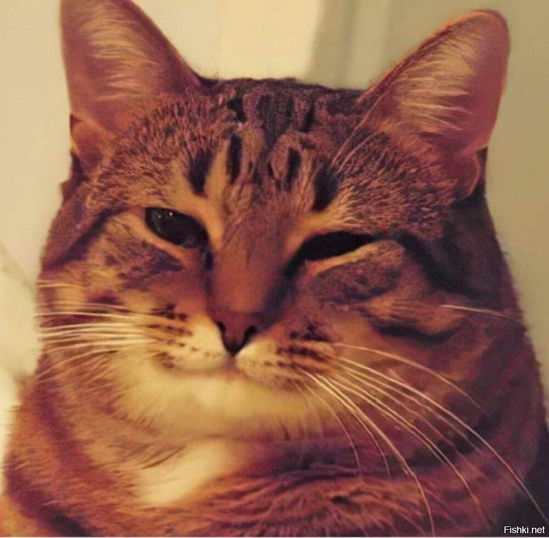 Друзьями с привилегиями?