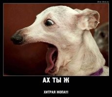 Читерский прицел для страйкбола