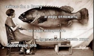 Ужас что творится! Или дорога глазами женщины