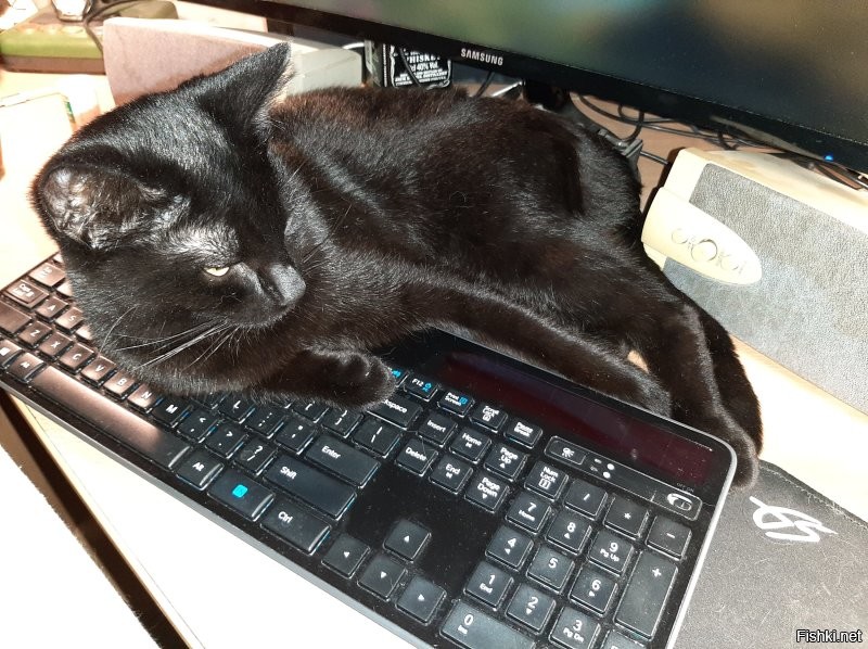 размышление над проектом.