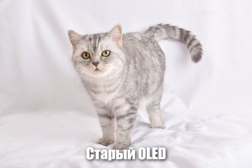 Солянка от 22.01.2026