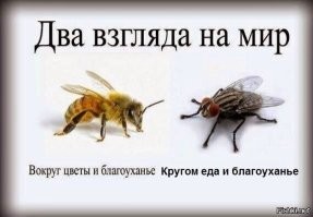 На картинке один (!) взгляд на мир
Два взгляда будет так