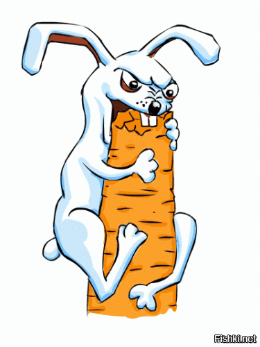 Солянка от 22.01.2026