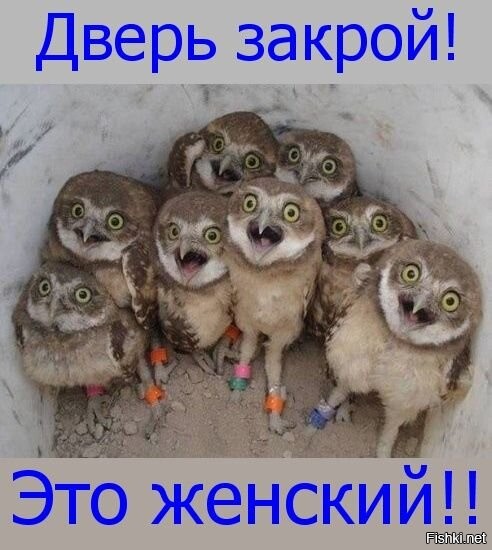 Намешалось