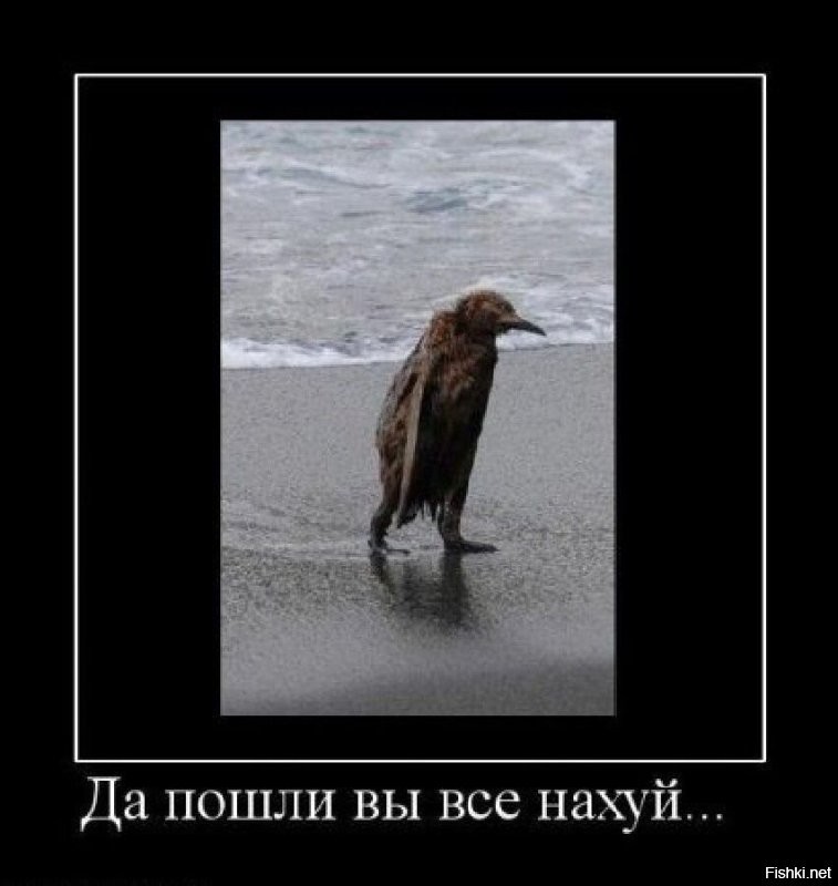 Намешалось