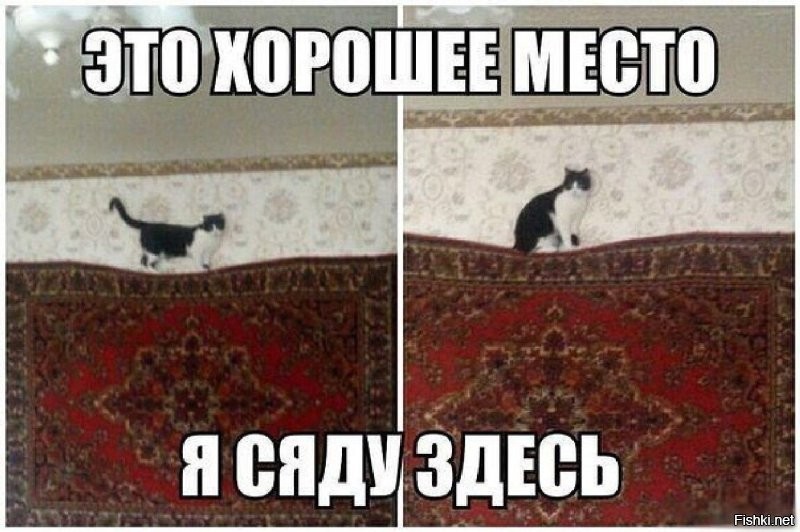 Скрины из соцсетей