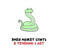 Ей на работу ходить не надо.