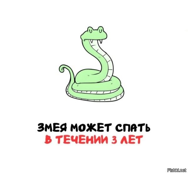Ей на работу ходить не надо.
