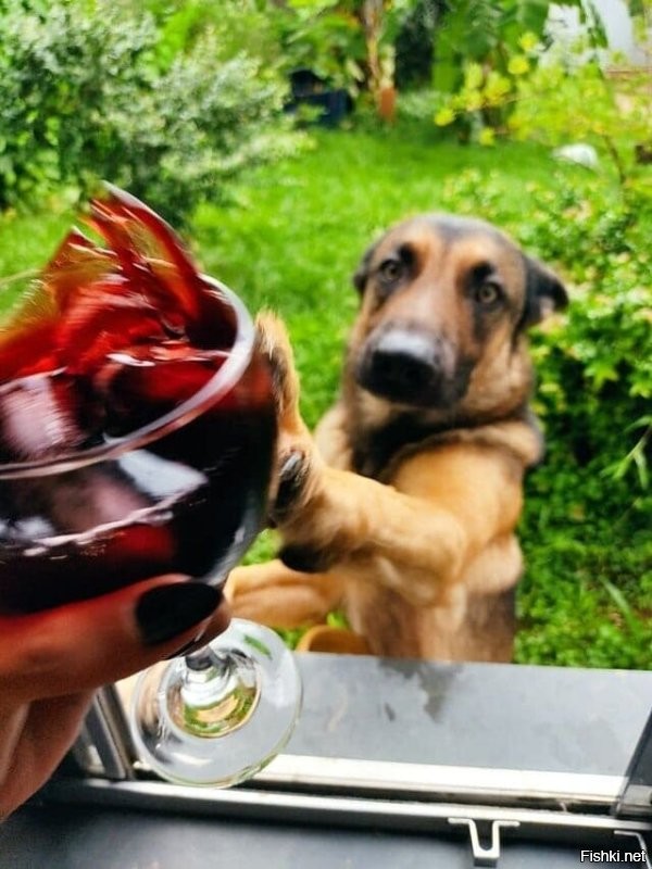 Отличный маникюр у парнишки