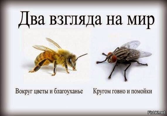 Парень высмеял, как снимают документалки про Африку