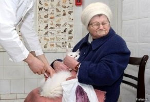 Против кота использовали его главную слабость