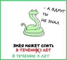А вдруг ты не знал…