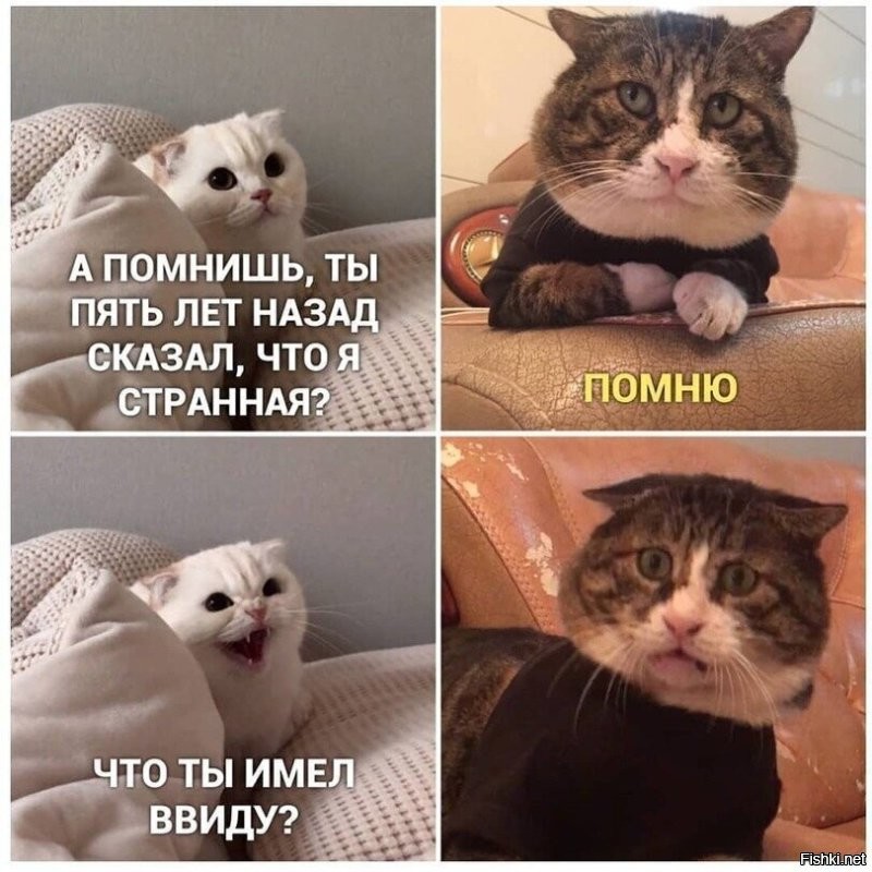 Солянка от 22.01.2026